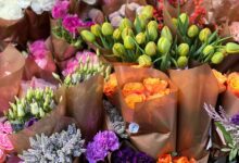 Guerra tarifária encarece flores e pressiona inflação nos EUA