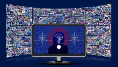 Machine learning antecipa surgimento de 'gazelles' mas desafios persistem