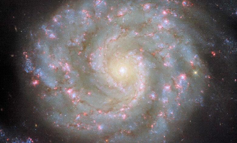 NASA revela foto da galáxia em órbita para 9 de maio 2025