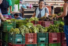 ANVISA inicia monitoramento de agrotóxicos em alimentos