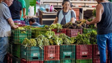 ANVISA inicia monitoramento de agrotóxicos em alimentos