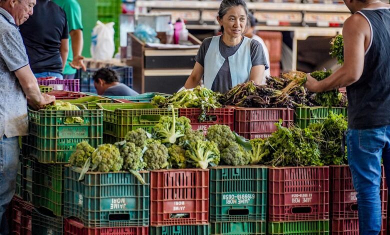 ANVISA inicia monitoramento de agrotóxicos em alimentos