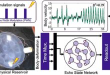 Rede neural controla ciber-lulas para explorar mares