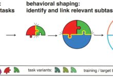 AI aprende tarefas complexas em 'kindergarten' de machine learning