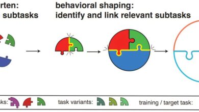 AI aprende tarefas complexas em 'kindergarten' de machine learning
