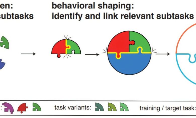 AI aprende tarefas complexas em 'kindergarten' de machine learning