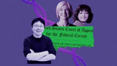CRISPR volta ao centro de disputa judicial nos EUA