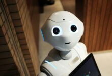 Redes neurais aprendem sem humanos em novo estudo