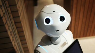Redes neurais aprendem sem humanos em novo estudo