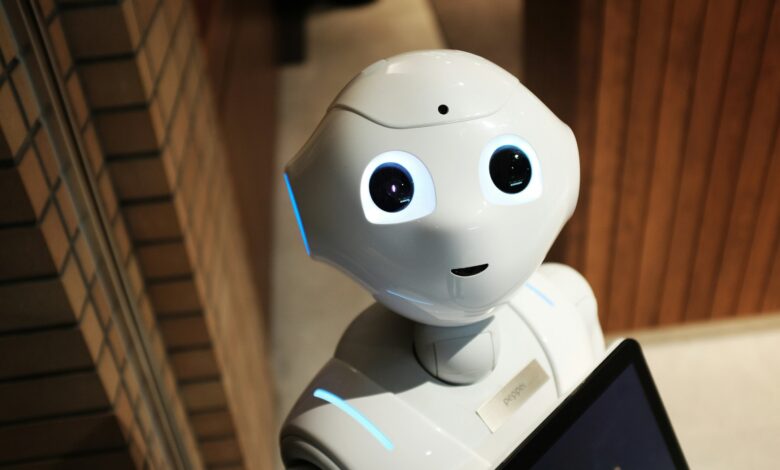 Redes neurais aprendem sem humanos em novo estudo