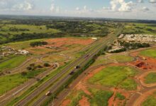 K-infra e Galapagos vencem leilão e atraem investimento na Rota da Celulose