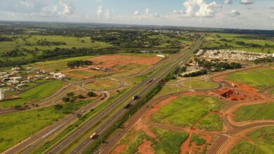 K-infra e Galapagos vencem leilão e atraem investimento na Rota da Celulose