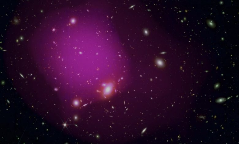 Estudo identifica célula precursora do câncer e Webb detecta galáxias antigas