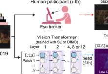 Transformers autotreinados replicam olhar humano com precisão