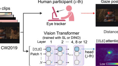 Transformers autotreinados replicam olhar humano com precisão