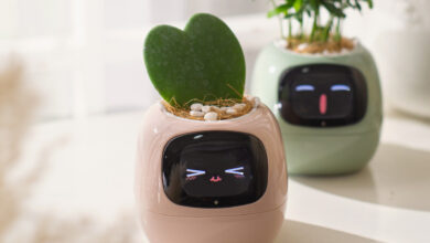 Smart Planter transforma cuidados com plantas em design divertido