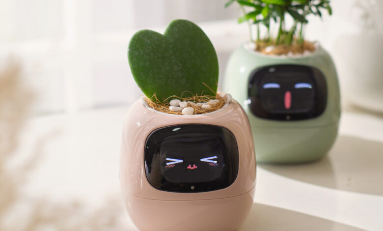 Smart Planter transforma cuidados com plantas em design divertido