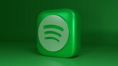 IA impulsiona criatividade musical, afirma CEO do Spotify
