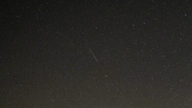 NASA alerta para pico da chuva de meteoros Eta Aquarid em órbita