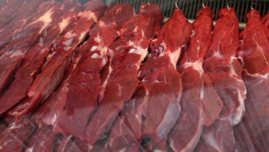 Abiec destaca alta nas vendas de carne bovina do Brasil ao mercado dos EUA