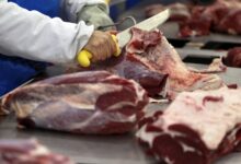 Marfrig surfa em alta de 18% após fusão com BRF no mercado