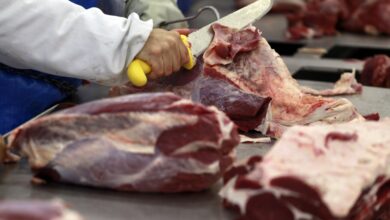 Marfrig surfa em alta de 18% após fusão com BRF no mercado