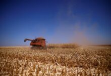 Brasil e China trocam dados sobre pragas e mercado agrícola