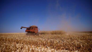 Brasil e China trocam dados sobre pragas e mercado agrícola