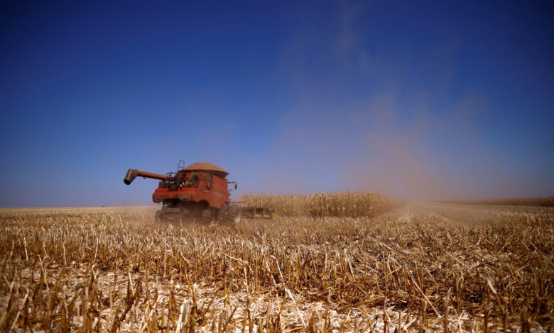 Brasil e China trocam dados sobre pragas e mercado agrícola
