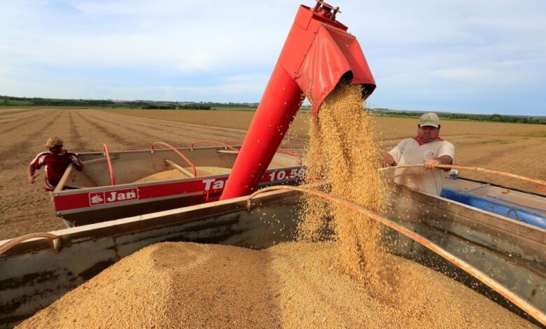 Safras & Mercado aponta atraso nas vendas da soja e impacto no mercado