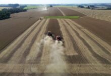 Agro dos EUA perde competitividade no mercado global