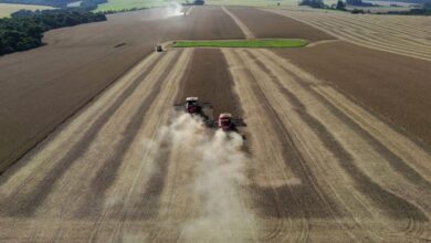 Agro dos EUA perde competitividade no mercado global