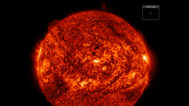 NASA registra erupção solar de 600.000 milhas em vídeo