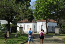 Museu de História Natural promove educação em homenagem a Einstein