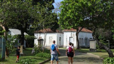 Museu de História Natural promove educação em homenagem a Einstein