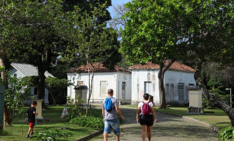 Museu de História Natural promove educação em homenagem a Einstein
