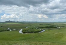 Estudo mostra impacto da vegetação em mudanças climáticas no Mioceno tardio