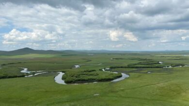 Estudo mostra impacto da vegetação em mudanças climáticas no Mioceno tardio