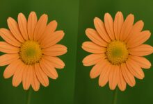 Vulnerabilidade em JPEG pode expor dados a ataques de malware