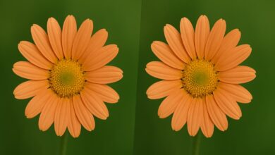 Vulnerabilidade em JPEG pode expor dados a ataques de malware
