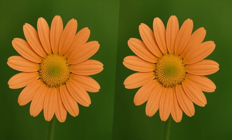 Vulnerabilidade em JPEG pode expor dados a ataques de malware