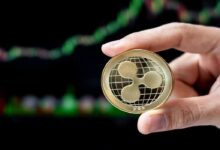 XRP e DDoS oferecem novas ferramentas contra volatilidade
