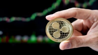 XRP e DDoS oferecem novas ferramentas contra volatilidade