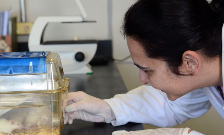 Pesquisadores desenvolvem tecidos para aprimorar testes de medicamentos