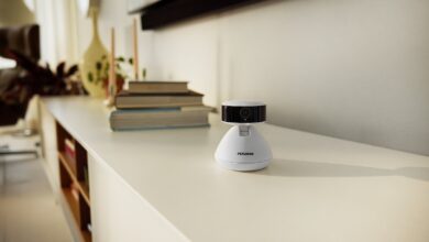 PetLibro lança câmera inteligente com IA para descrever pets