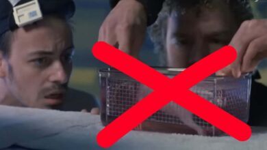 Disney+ retira The Abyss por cena polêmica de rato