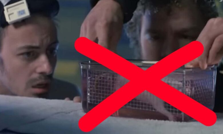 Disney+ retira The Abyss por cena polêmica de rato