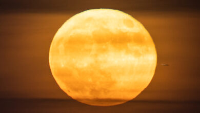 NASA observa a lua cheia de morango iluminando a órbita