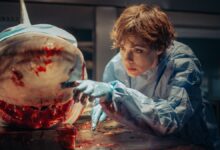Comemore 50 anos de Tubarão com 10 filmes de streaming