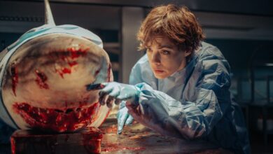 Comemore 50 anos de Tubarão com 10 filmes de streaming